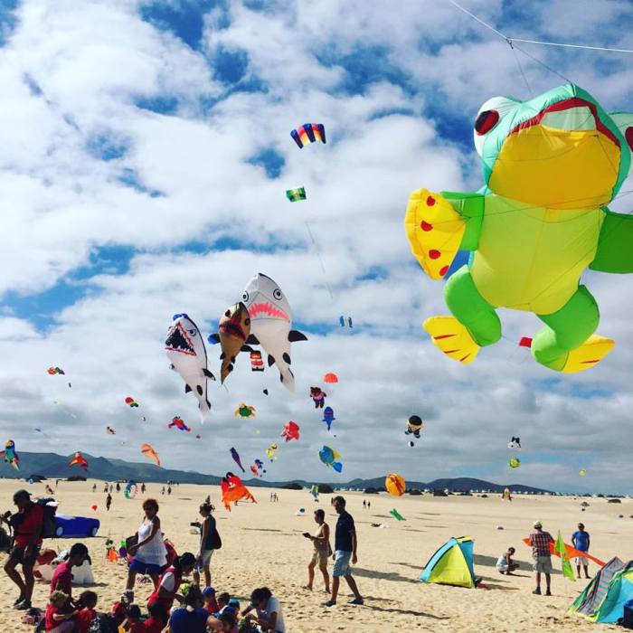 kites