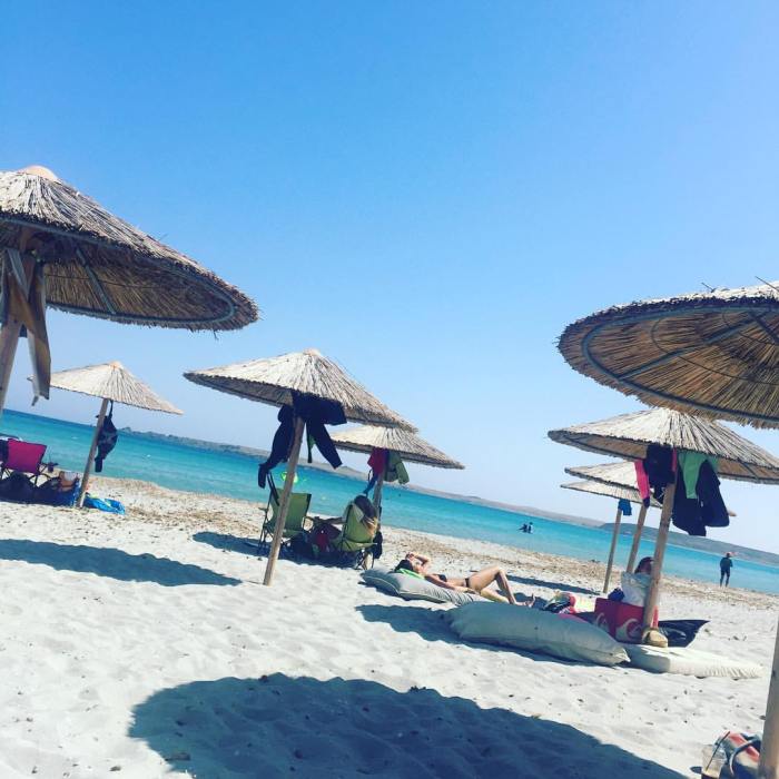 13528592_10153410734056706_875526348504874189_o